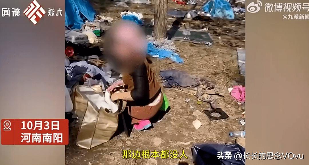 今期生肖四五开，本期生肖看地主打一数字生肖警惕虚假宣传、全面解答与解释、精准解答解释落实
